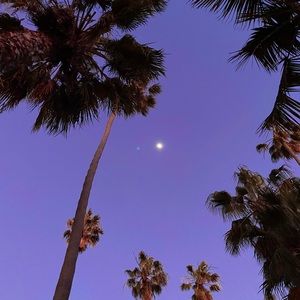 Meet your Posher, Isabella